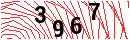 Security Verification