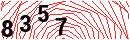 Security Verification