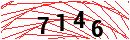 Security Verification