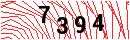 Security Verification