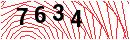 Security Verification