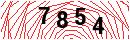 Security Verification
