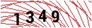 Security Verification