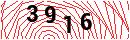 Security Verification