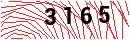 Security Verification