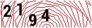 Security Verification