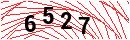 Security Verification
