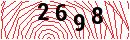 Security Verification