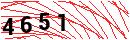 Security Verification