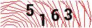 Security Verification