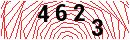 Security Verification