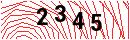 Security Verification