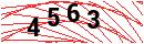 Security Verification