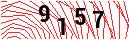 Security Verification