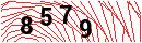 Security Verification