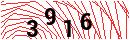 Security Verification