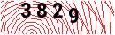 Security Verification