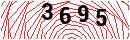 Security Verification