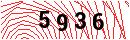 Security Verification