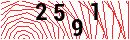 Security Verification