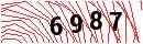 Security Verification