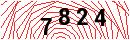Security Verification