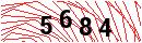 Security Verification