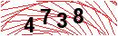 Security Verification