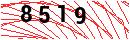 Security Verification