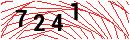Security Verification