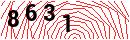 Security Verification