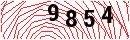 Security Verification