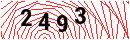 Security Verification