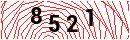 Security Verification