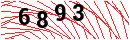 Security Verification