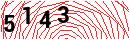 Security Verification