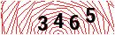 Security Verification