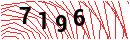 Security Verification