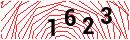 Security Verification