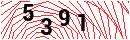 Security Verification