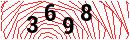 Security Verification