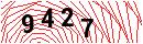 Security Verification