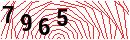 Security Verification