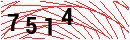 Security Verification