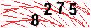 Security Verification