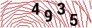Security Verification