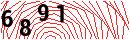 Security Verification