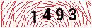 Security Verification