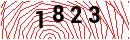 Security Verification