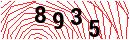 Security Verification